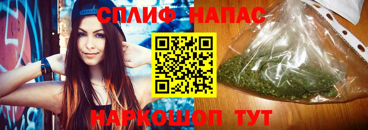 Каннабис сатива Светлоград